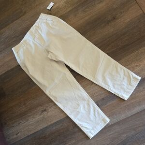 Gap Downtown Ankle Chino Pants